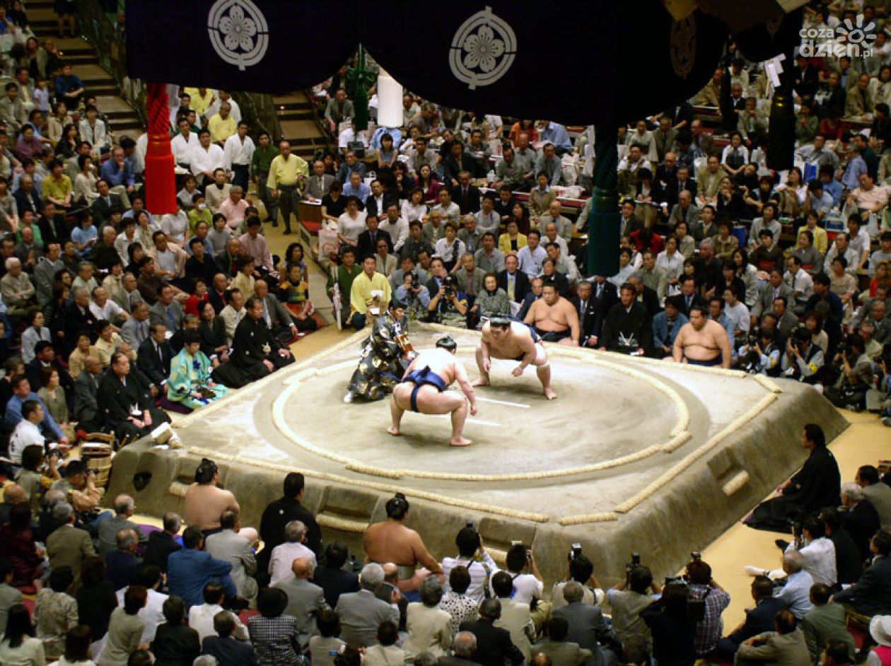 Sumo