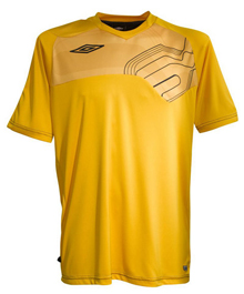 euro 2008 b