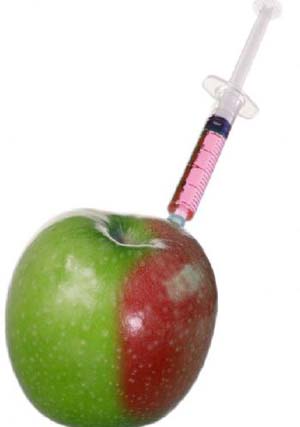 gmo3
