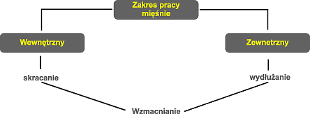 rozciaganie