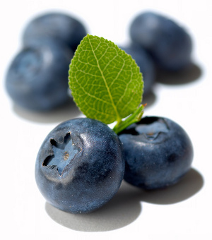 bluberries2