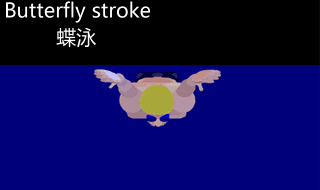 motylek 1