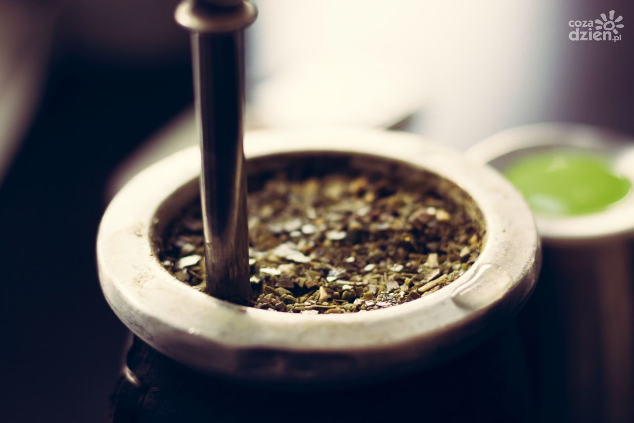Yerba mate - południowoamerykański napar pełen mocy