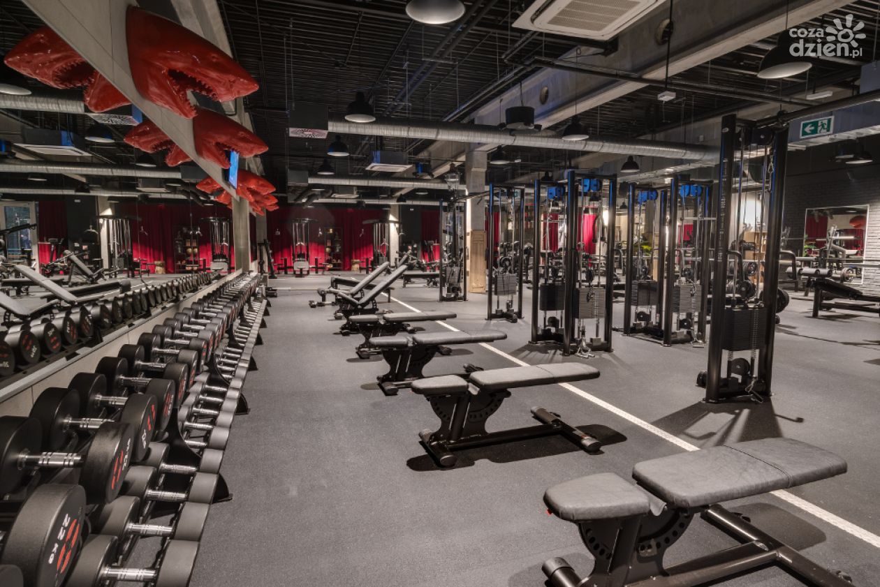 Medicover przejmuje McFIT Polska i rozszerza sieć fitness do ponad 100 klubów