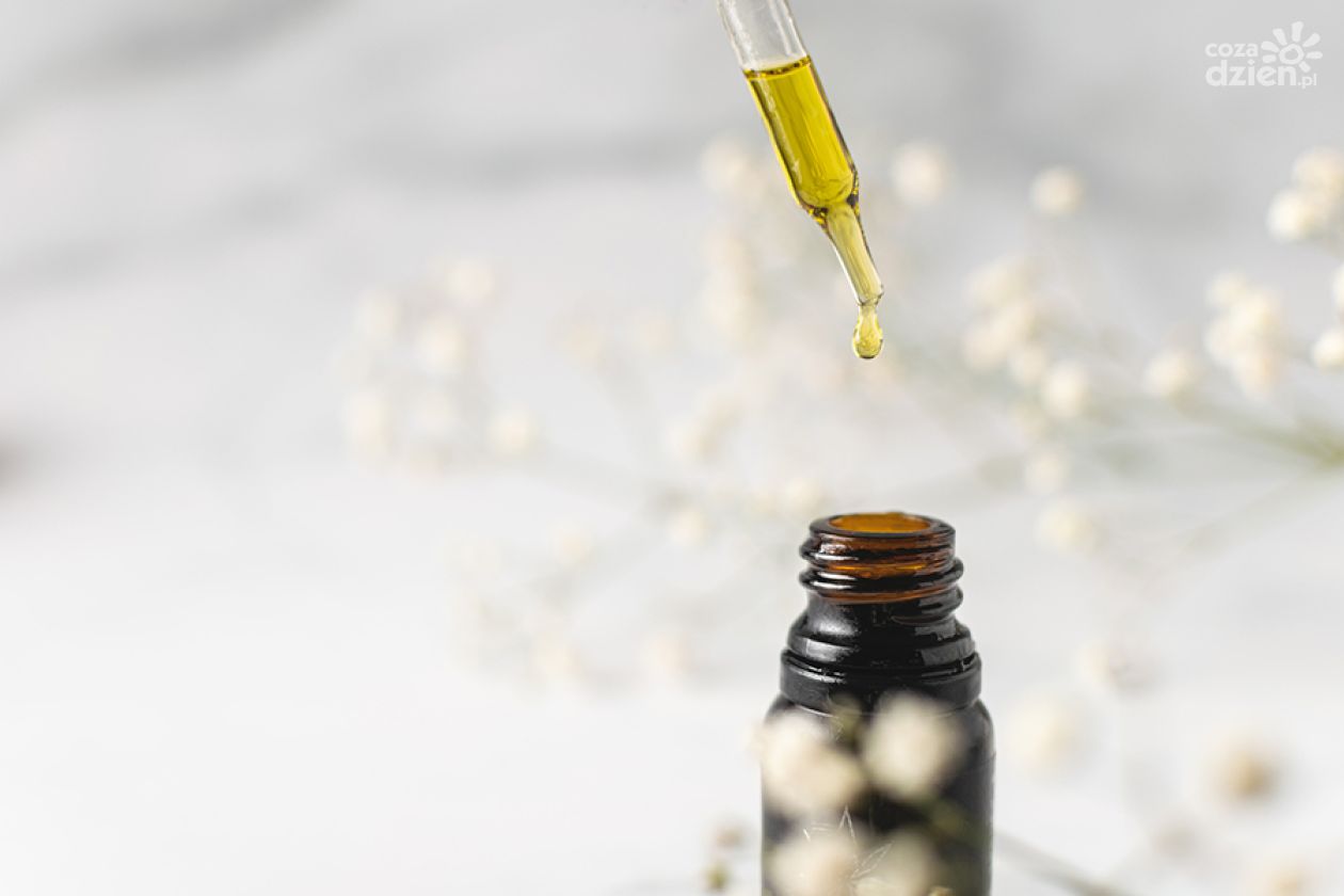 Olejki CBD a zdrowa dieta- czy warto po nie sięgać