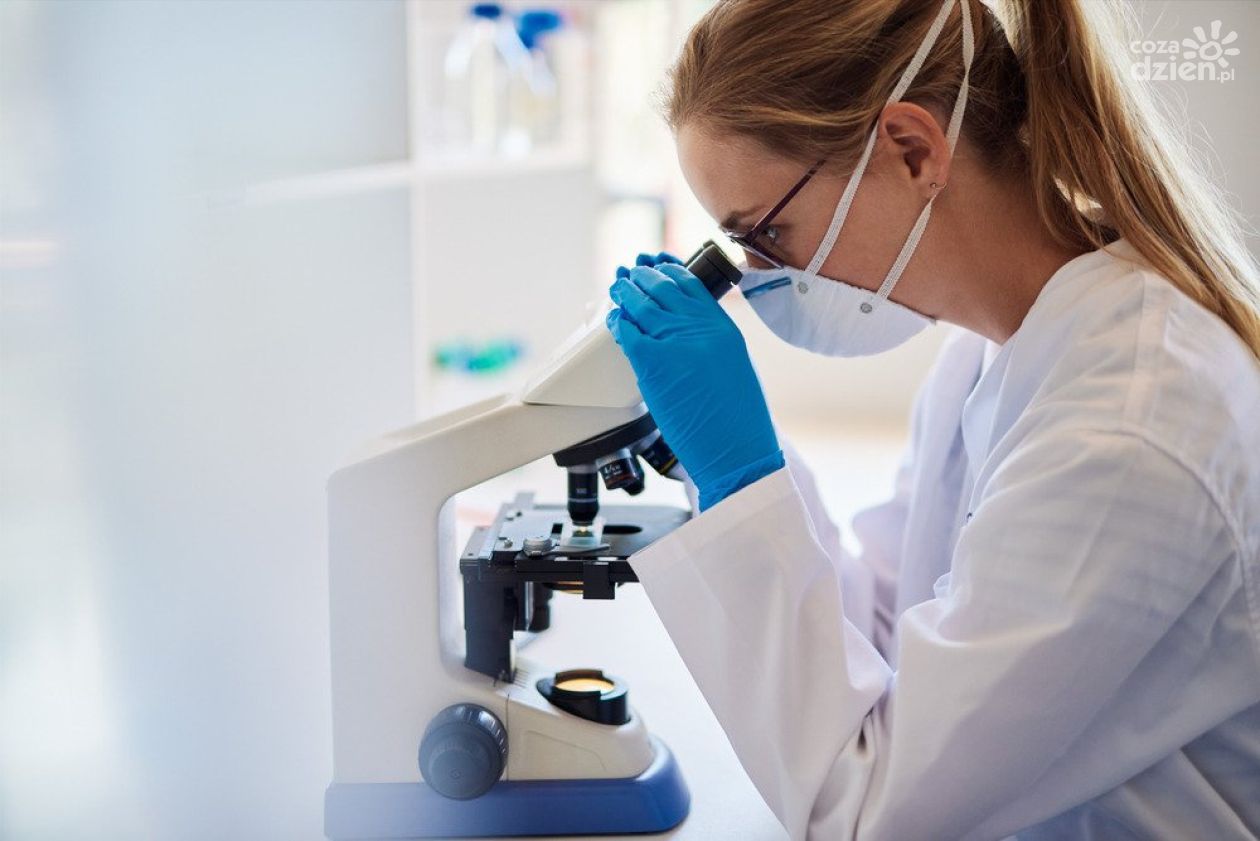 Nowotwór zapisany w genach czy możemy określić ryzyko jego wystąpienia dzięki badaniu DNA z krwi