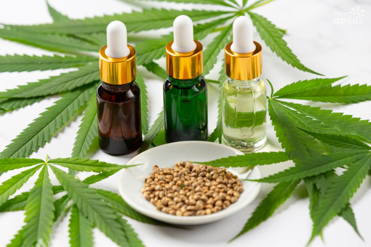 Olejki CBD - suplement diety na pochmurne dni