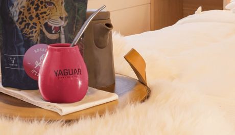 Yerba mate - poznaj naturalne źródło energii i witalności