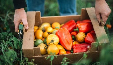Na tropie „ekościemy”, czyli jak rozpoznać, które produkty są naprawdę eko