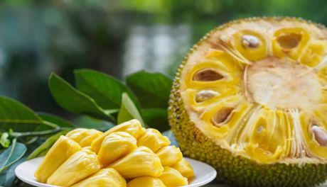 Jackfruit - egzotyczny owoc - odkrycie dla wegan i wegetarian