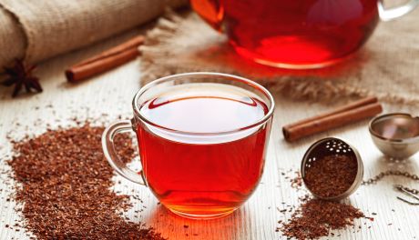 Rooibos: W czym tkwi tajemnica słonecznego naparu?
